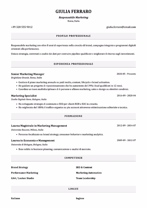 Anteprima del modello di curriculum Monocrom